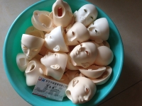 BJD head ,  Ball-jointed Doll  head , whole body vacuum casting 